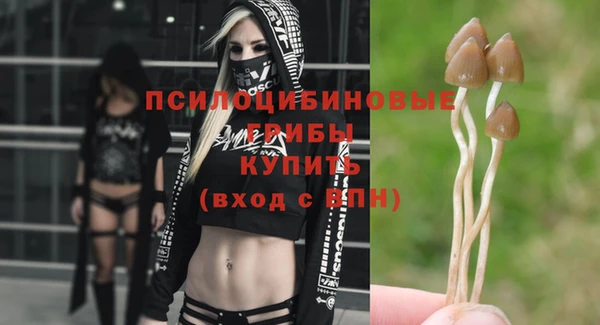 сатива Аркадак