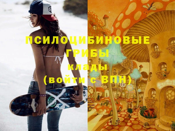 spice Армянск
