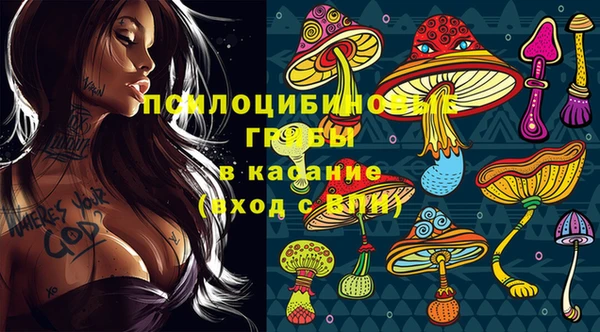 spice Армянск