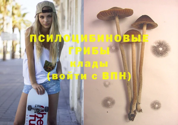 сатива Аркадак