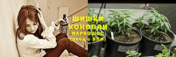 spice Армянск