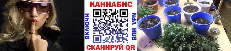 Бошки марихуана Ganja Унеча